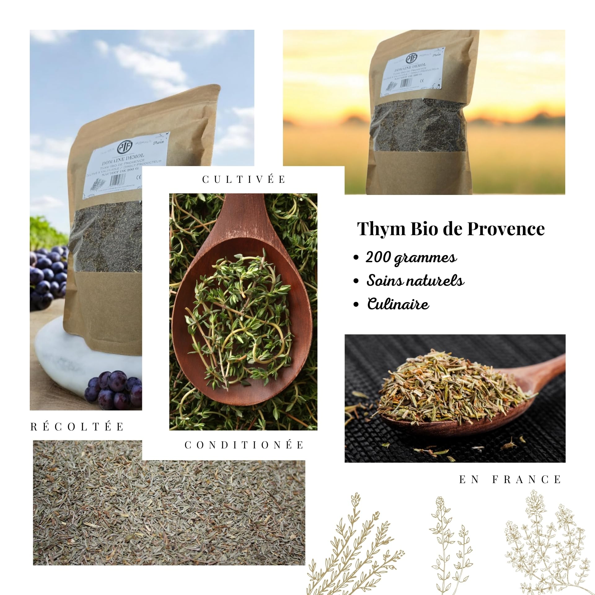 PIF.- Thym Bio de Provence 200g - Herbes Aromatiques Séchées de Qualité Supérieure -Fabriqué et Assemblé en France - Direct Producteur