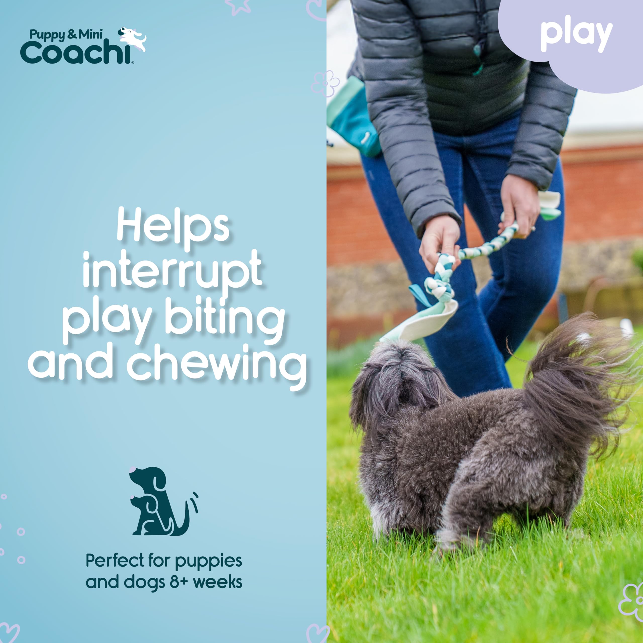 Coachi Puppy & Mini Tuggi Tug, Great for Tug & Play, Strong Dog Toy, Fun Reward Training - Image 3