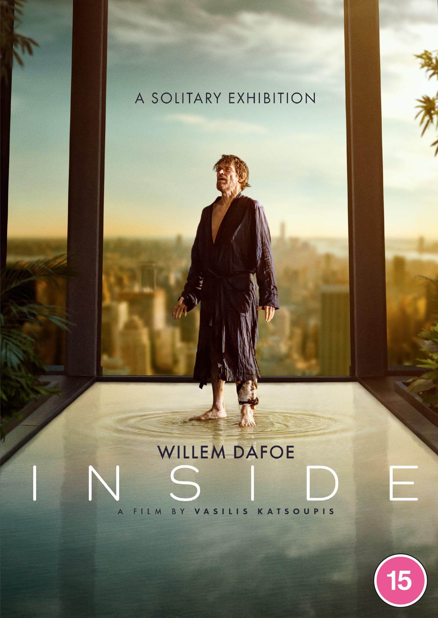 Inside [15] DVD