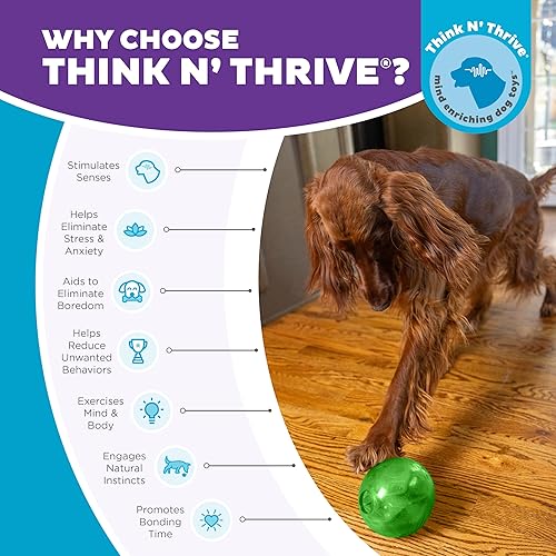 Miniatura 7 de Outward Hound Orbee-Tuff Mazee Interactive Dog Puzzle Toy, Treat Dispensing Slow Feeder Ball, Green, 4.7-Inch Verde