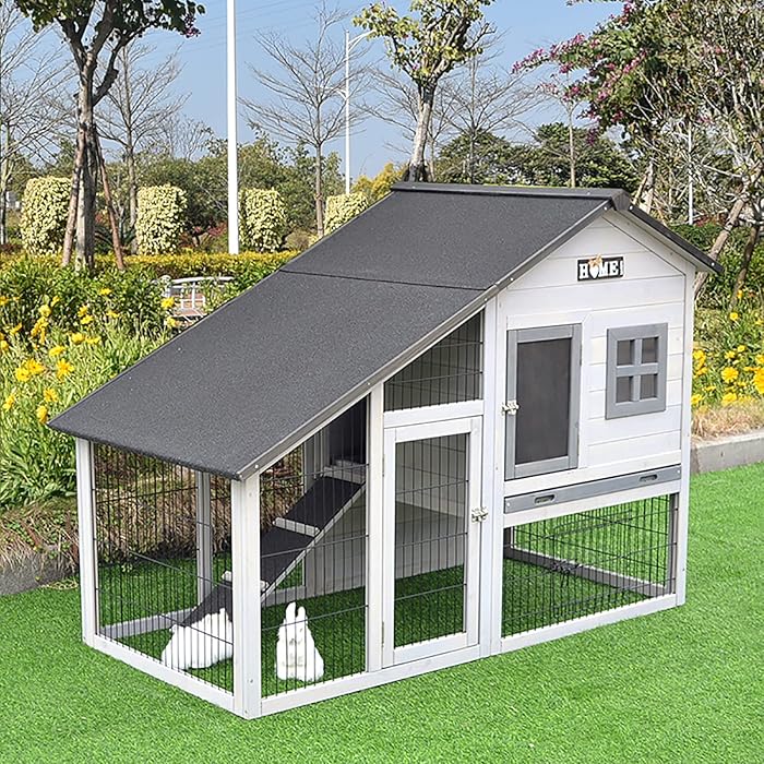 Buy Pet Deluxe Two Tier Wooden Chicken Coop Habitat, Outdoor Hen House Poultry Quail Cage Ducks