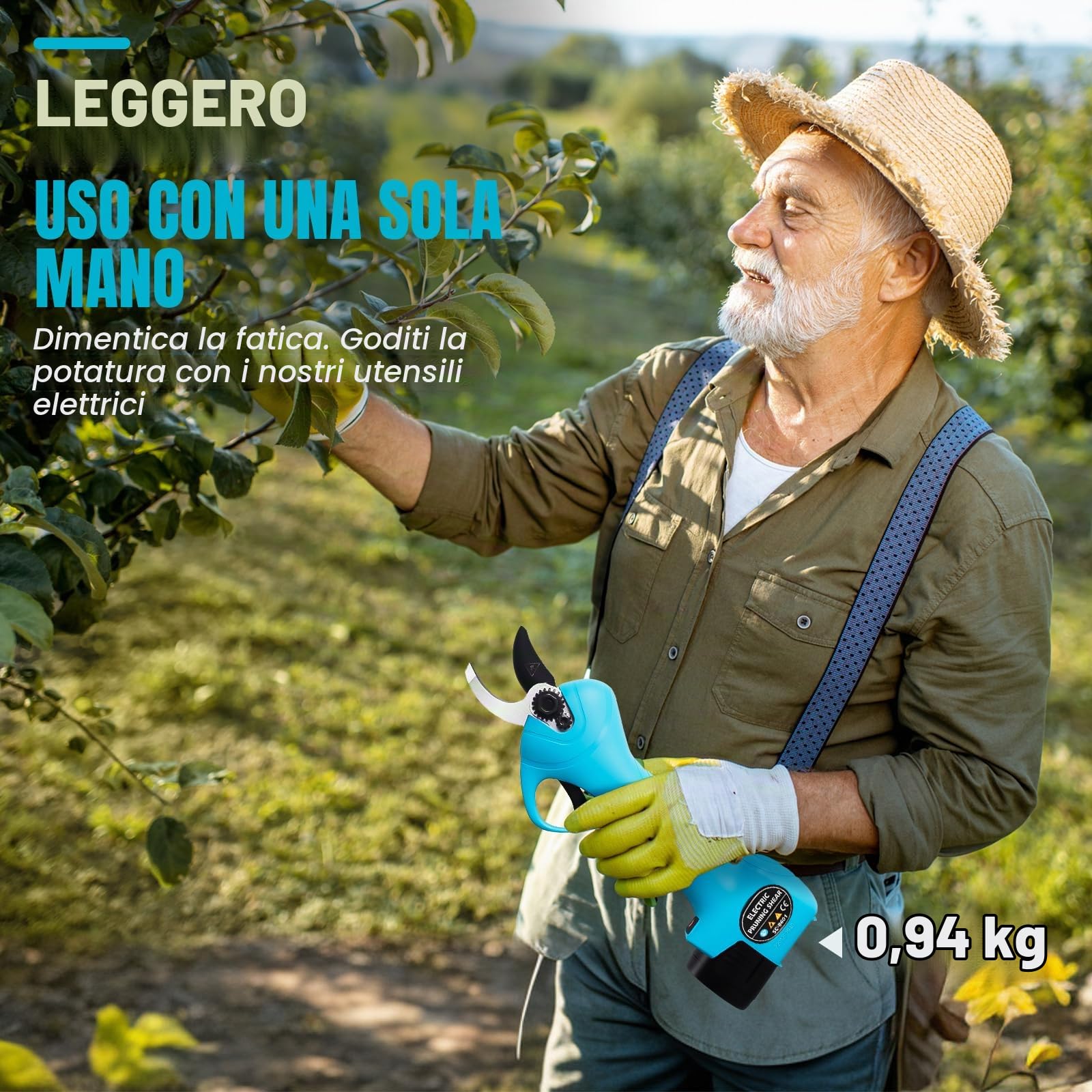 Bostar Forbici da potatura Elettriche Taglierina elettrica senza fili professionale 16,8 V forte lama in acciaio entro 25 mm per alberi da giardino (blu)