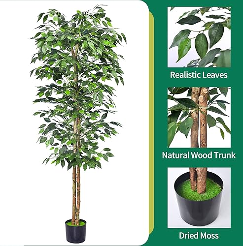 Miniatura 2 de 2 paquetes de árboles de ficus artificiales de 6 pies con hojas realistas y tronco natural, árbol de ficus sintético con maceta de plástico