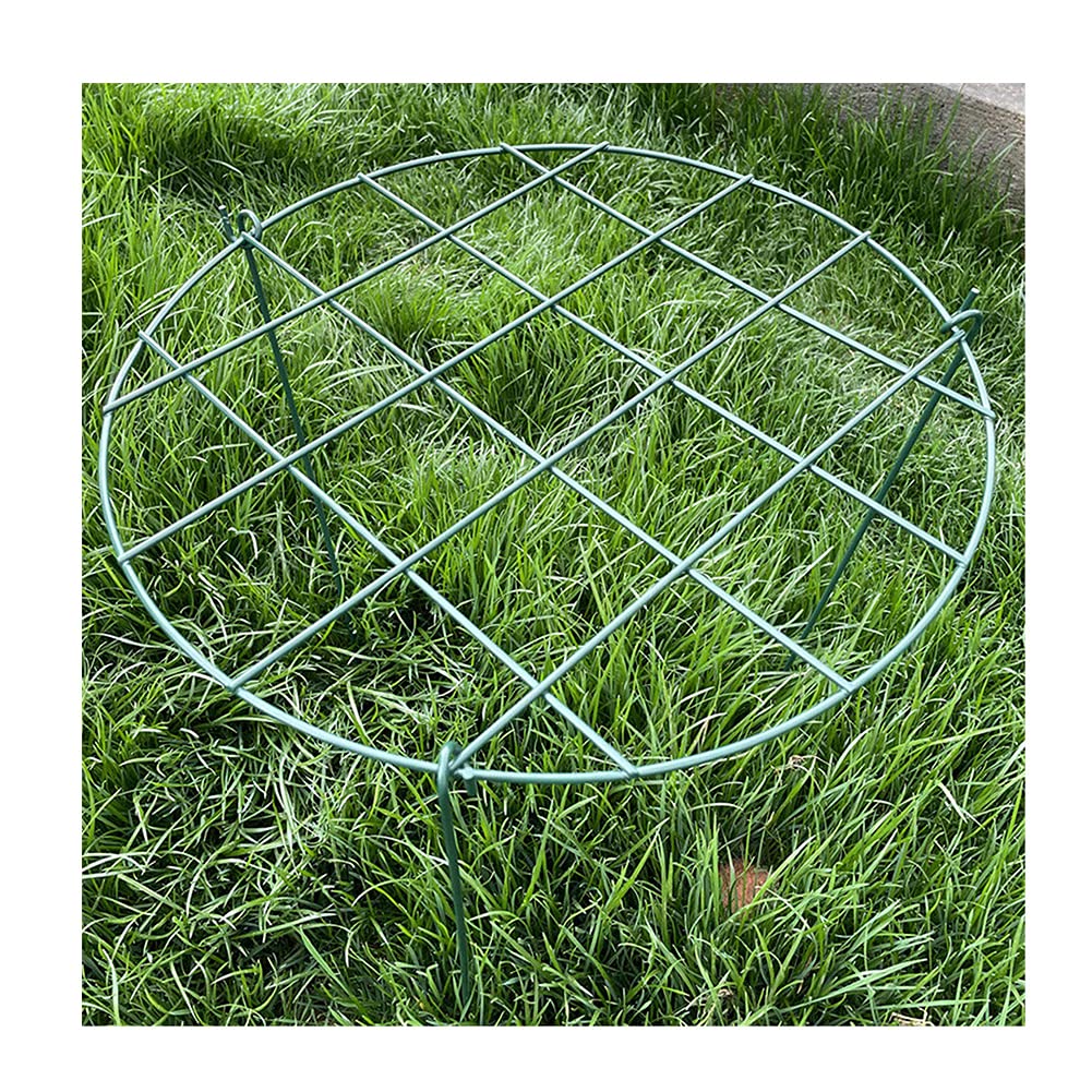 Panonw 4 stuks ronde plantensteun pioenkooien en ondersteunt groeien door raster plantenbrace met 3 poten, 13 x 16,5 inch metalen tuinbloemen steunringen voor pioentomaat, roos, wijnstok