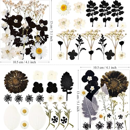 Miniatura 5 de 84 piezas de flores secas prensadas negras para moldes de resina, flores secas naturales a granel para manualidades artísticas DIY, joyería