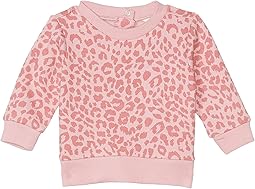 Sweet Blush/Verano Ocelot