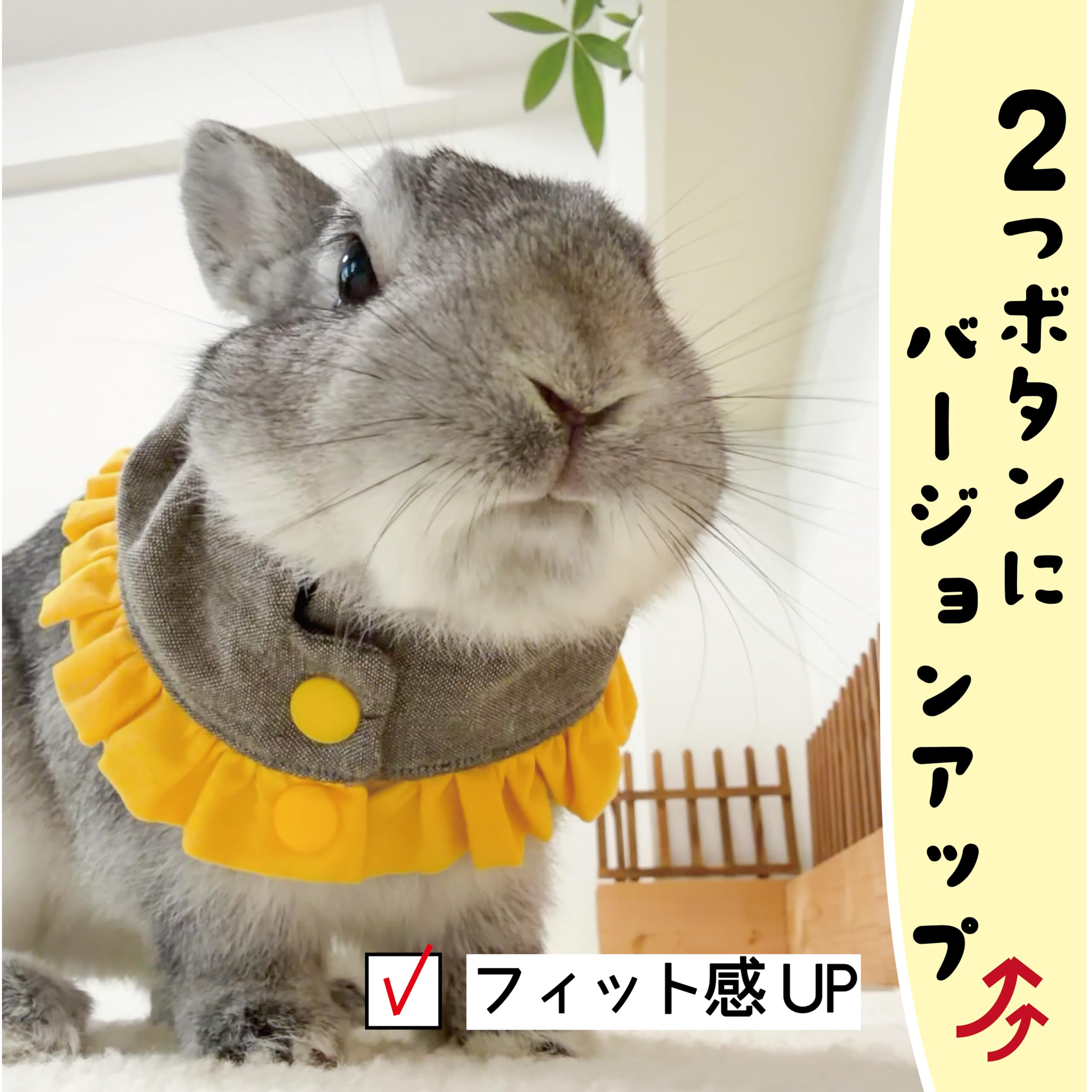 Amazon | Usagi Heart エリザベスカラー ひまわりのエリマキさん L