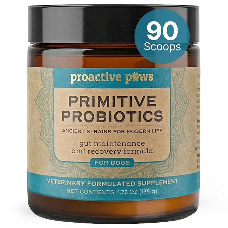 Probiótico em Pó para Cães Proactive Paws com Fibra de Abóbora Orgânica, 90 porções