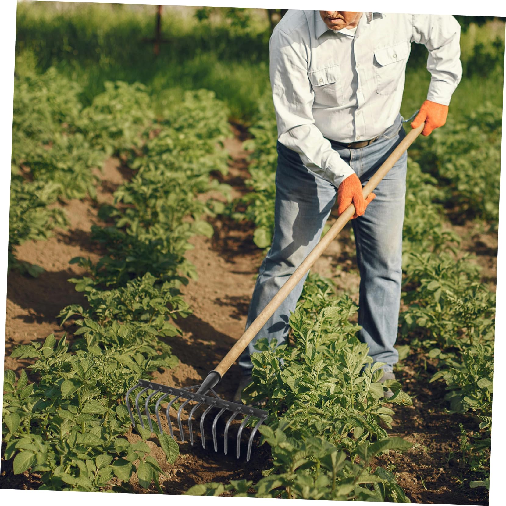Ricambio Pesante per Giardinaggio e Agricoltura Parte di Ricambio Multidente in Metallo ad Alto Tenore di Carbonio per Arieggiare Suolo e Preparare Letti di Coltivazione