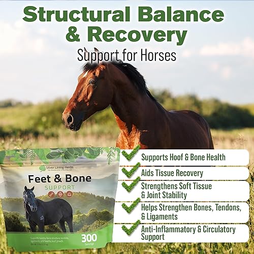 Miniatura 2 de Silver Lining Herbs Pies equinos y soporte óseo - Apoya el crecimiento saludable de las pezuñas de caballo - Ayuda a apoyar huesos, tendones y