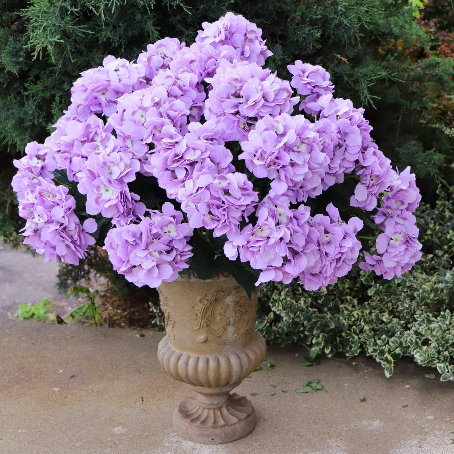 2-Pack Lavender Hydrangea Bush - 7 Realistic Silk Flowers Each - UV Resistant for Indoor & Outdoor Decor - Perfect for Spring, Summer, Patio, Garden, Home & Office