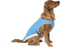 Canada Pooch Dog Cooling Vest: The Ultimate Chill for Summer Thrills