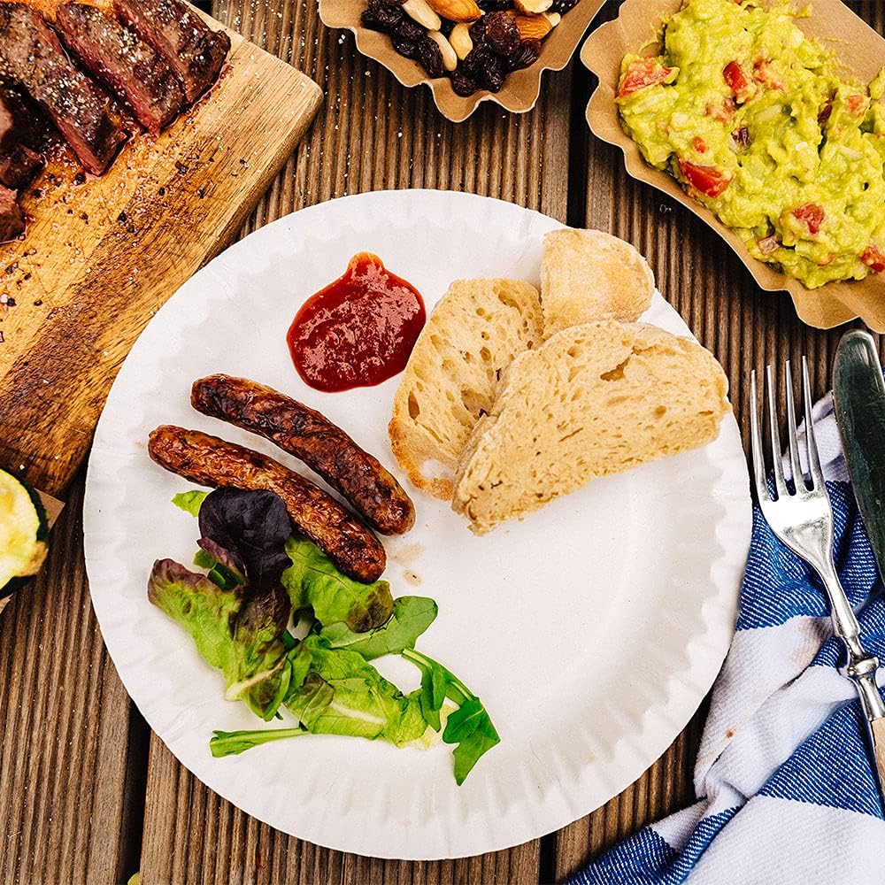 BIOZOYG White Round Paper Plates 100 Pack - Biodegradable, Recyclable, Microwave Safe - Dinner Plates Alternative to Disposable Plastic and Styrofoam - Eco-Friendly Tableware