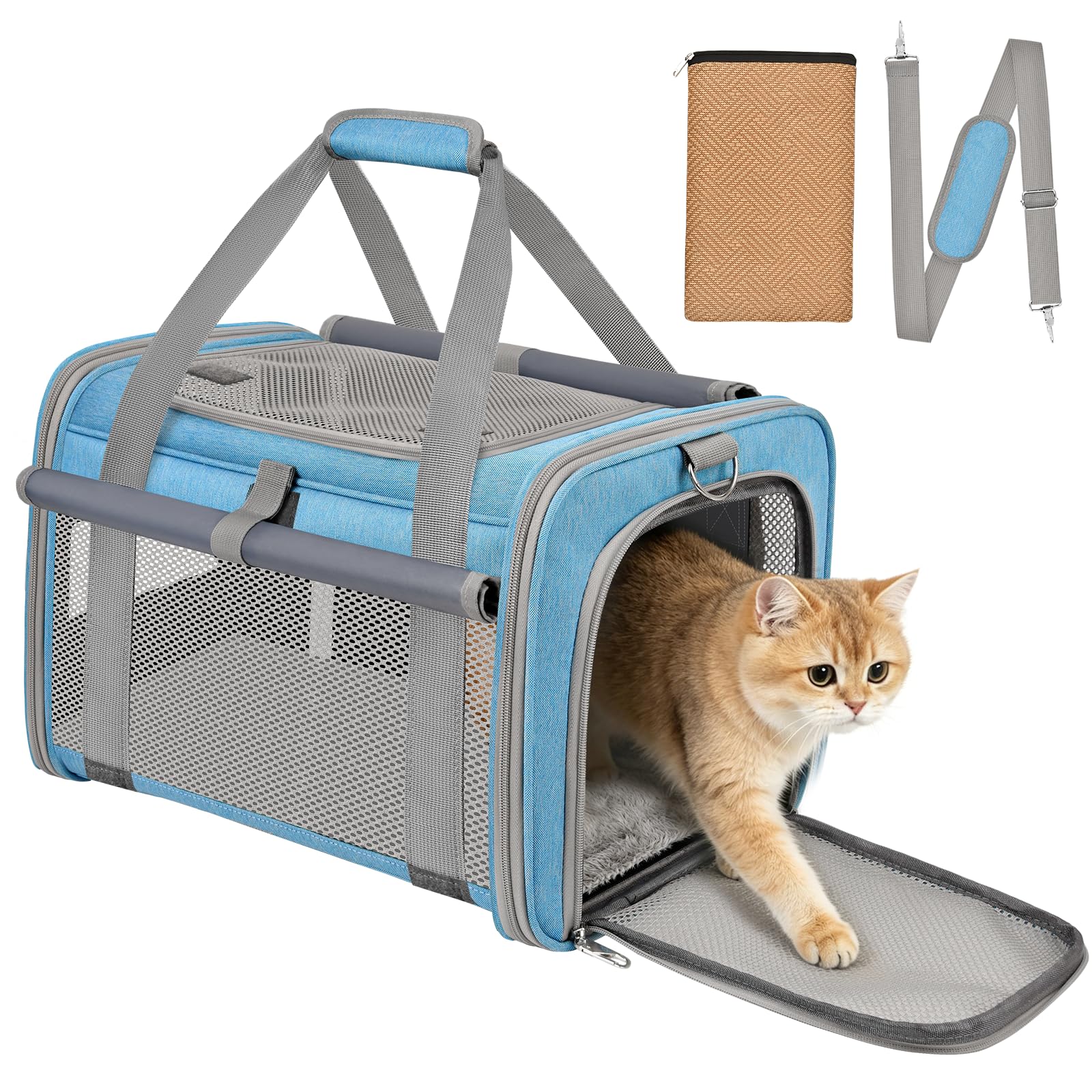 Katzentransportbox Flugzeugtauglich Hundebox Faltbar Weichseitige Transportbox Katze mit Innenleine Belüftung Katzentransporttasche für Reisen Auto Tierarzt bis 10kg (Himmelblau)