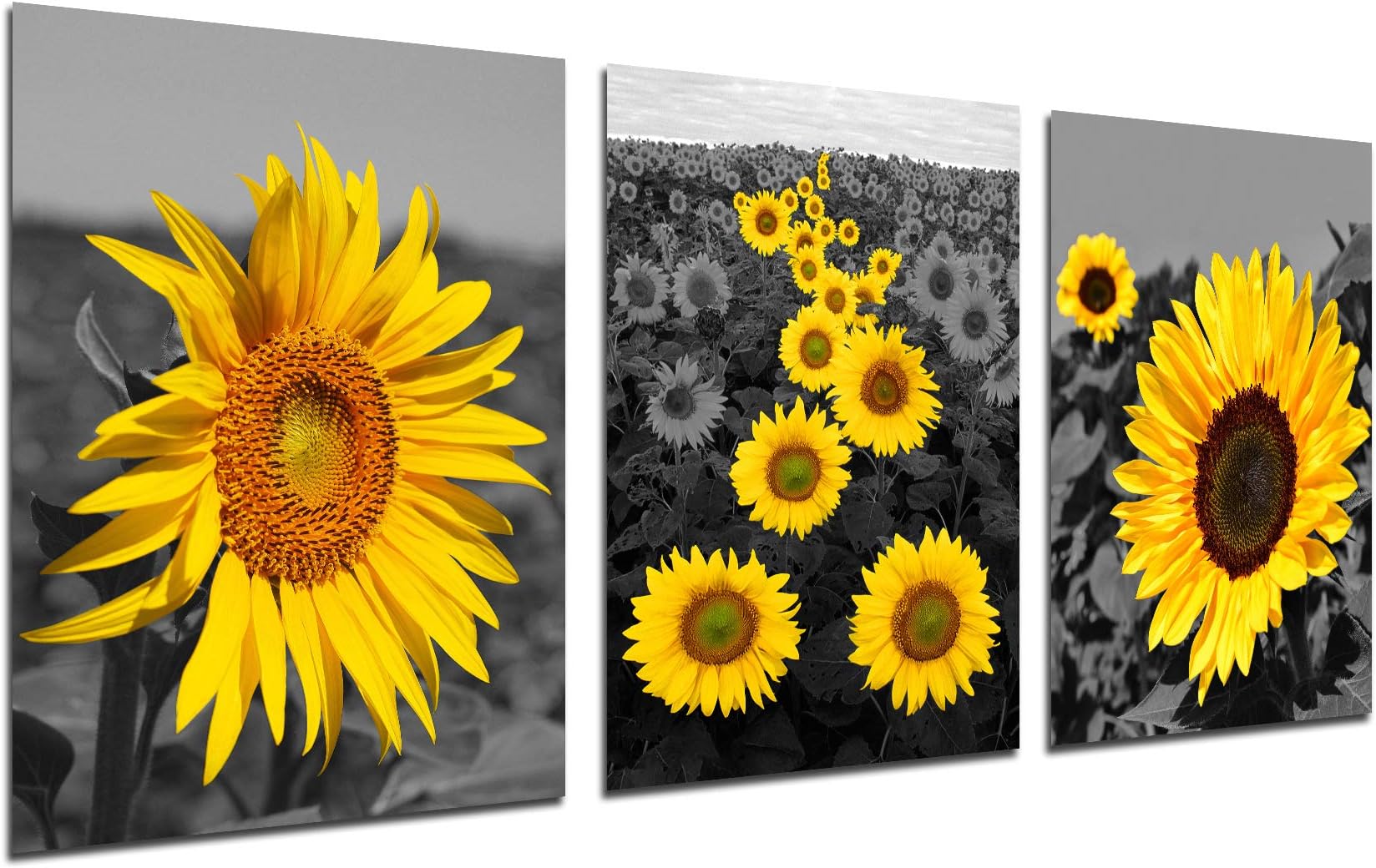 Sunflower Paintings Kitchen Wall Decor - Modern Art Black Yellow Flower Painting Home Office Daisy Floral Wall Decorations Botanical Theme Primitive Scenery Women Bedroom Bathroom Unframed 12X16 inch