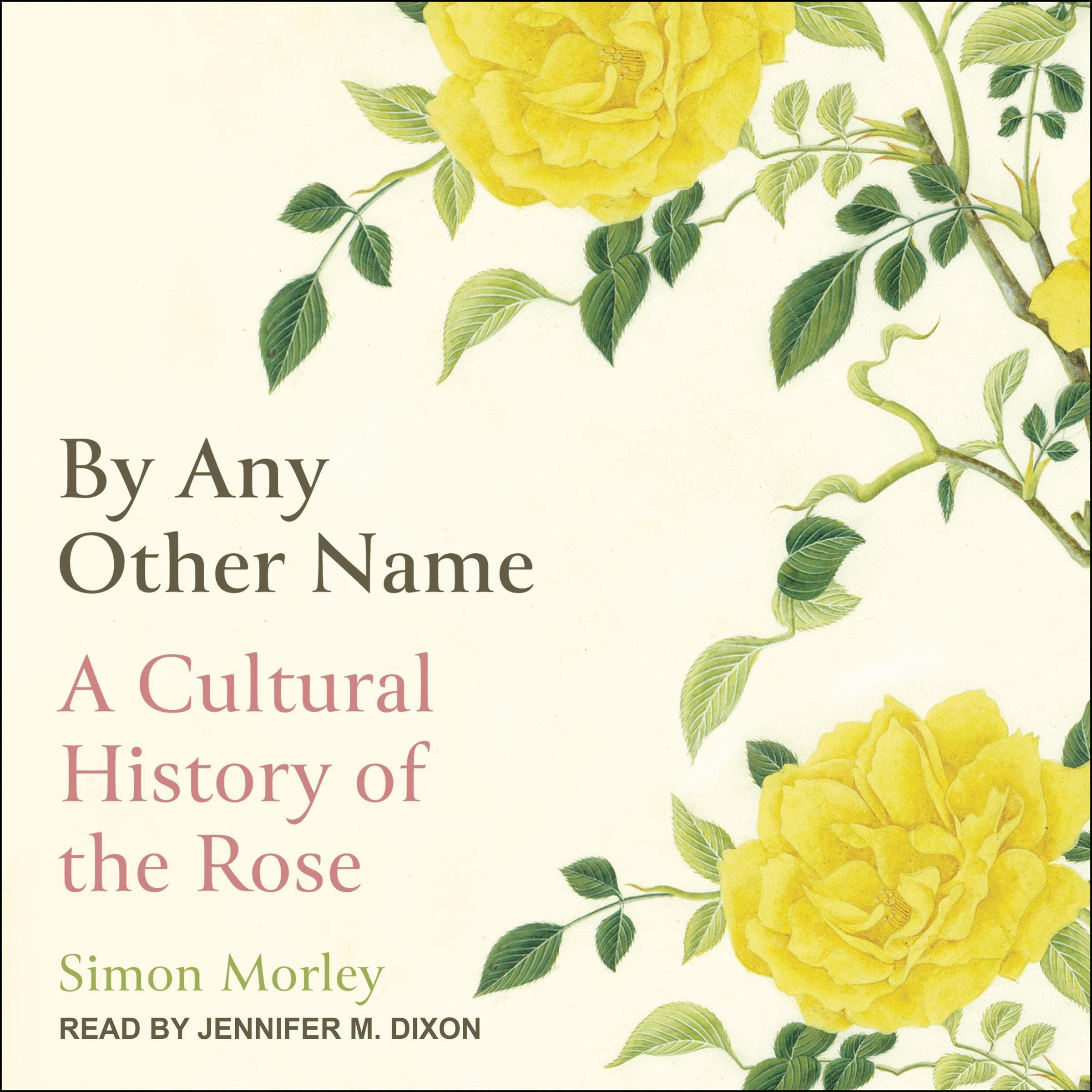 Cover art for By Any Other Name
