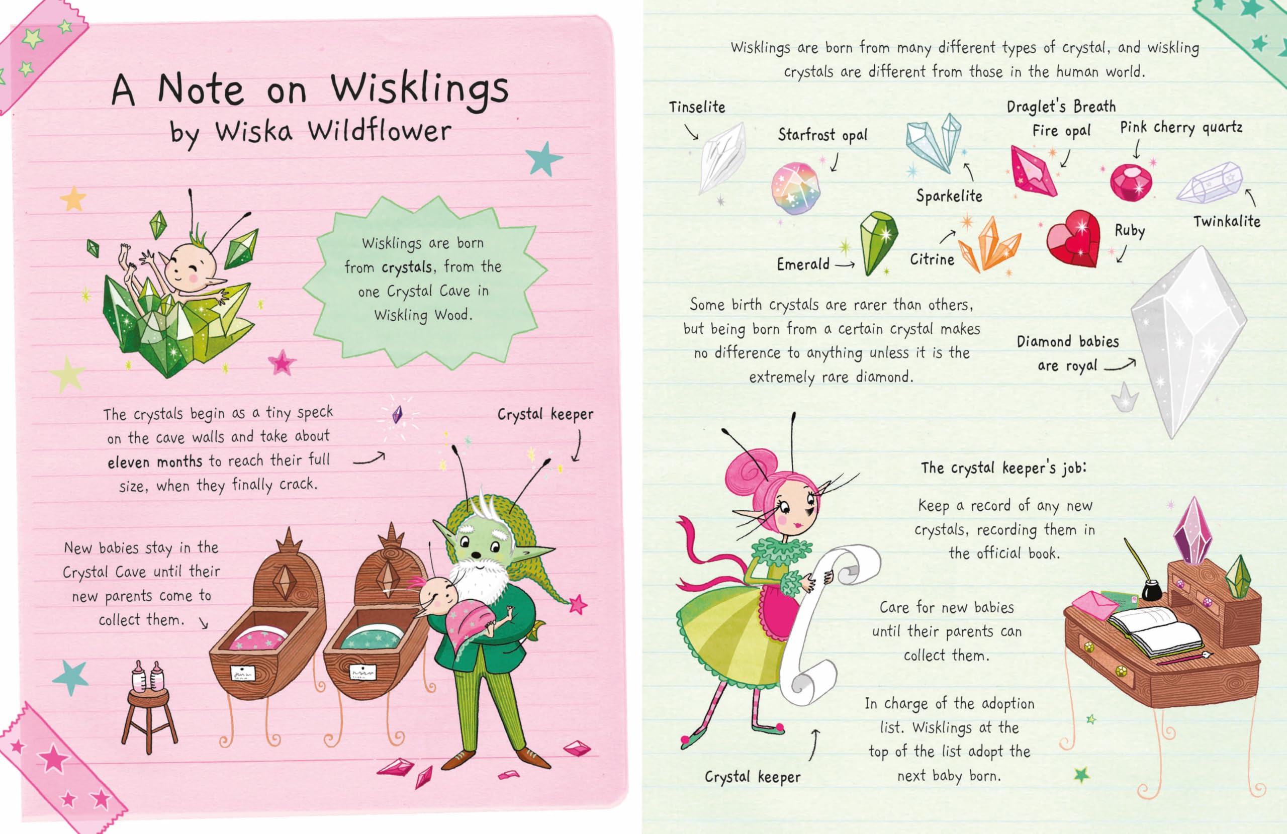 The Diary of Wiska Wildflower: The New School