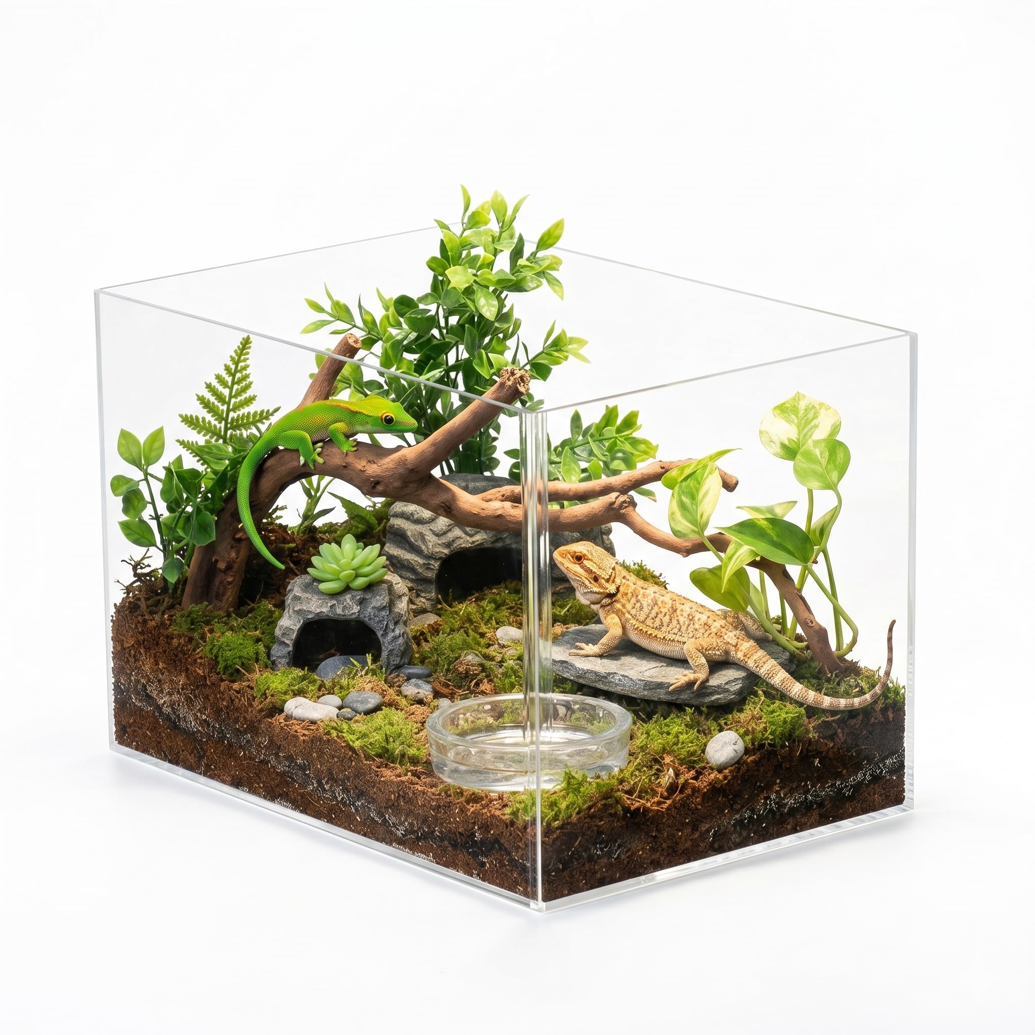 Amazon | SemiSta 爬虫類 ケージ アクリル 幅45cm 飼育ケース