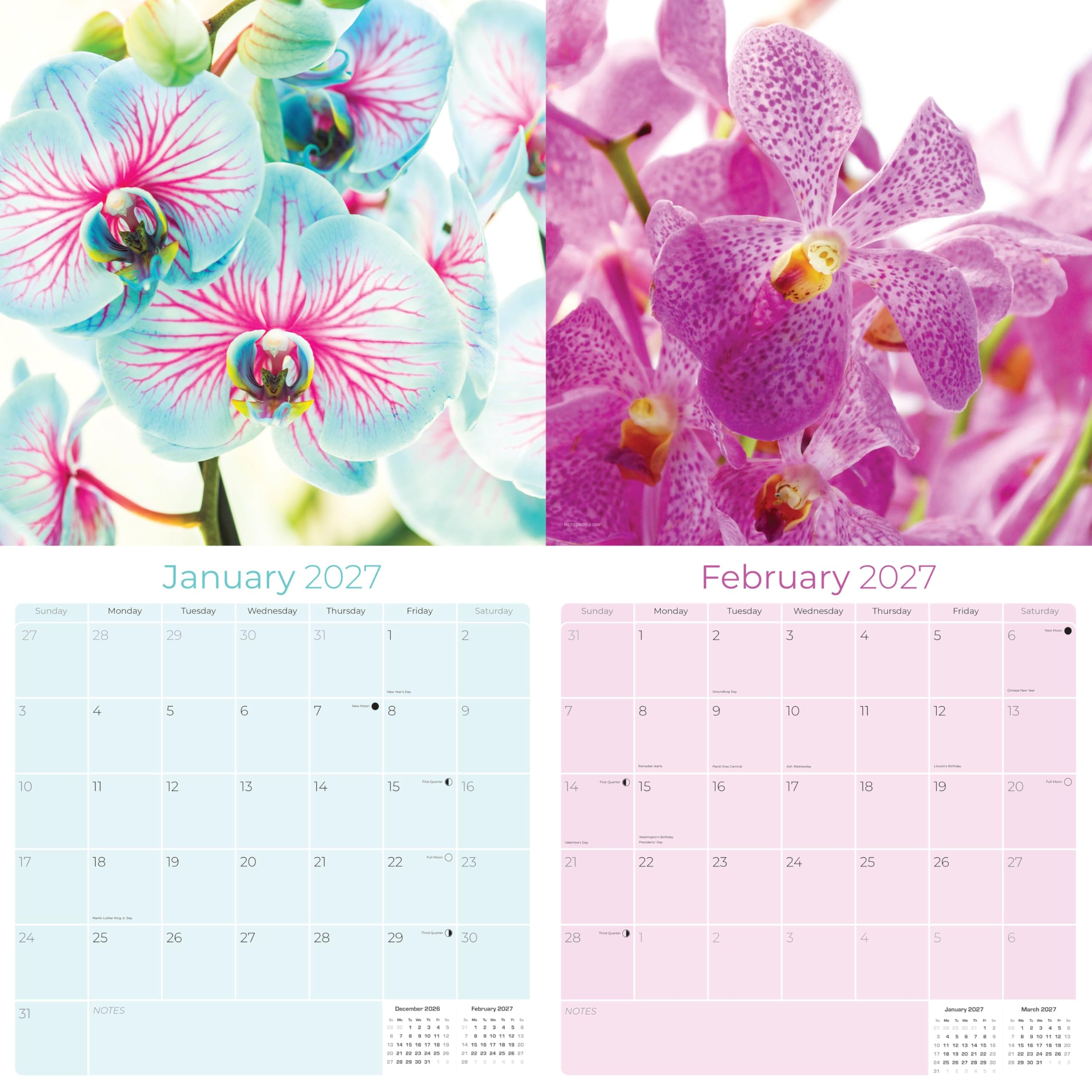 Calendario 2024 2025 con orchidee, calendario mensile da parete, 30,5 x 61 cm, aperto, carta spessa senza sbavature, idea regalo, calendario per insegnanti accademici, organizzazione e pianificazione