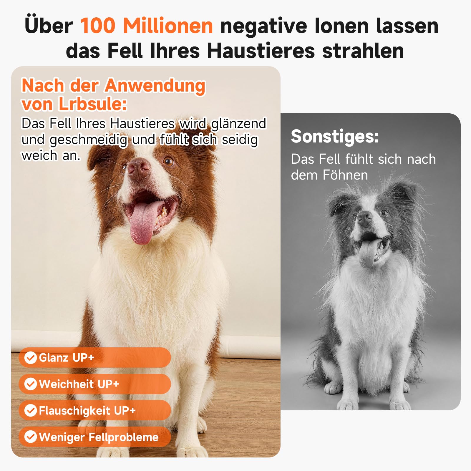 Hundeföhn 2200 W 100m/s mit Negativen Ionen