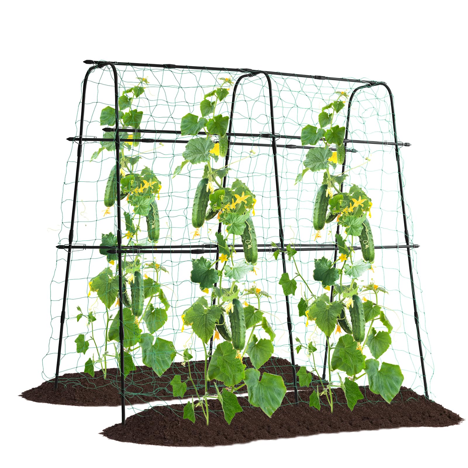 FOLLOOK 5x5ft Rustproof Metal Garden Arch Trellis