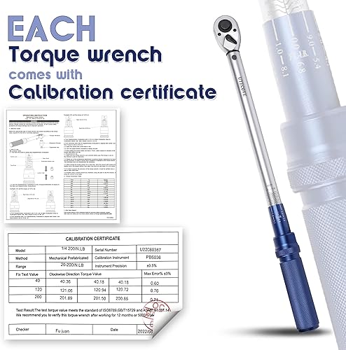 Miniatura 5 de Llave dinamométrica de clic de 12 pulgada, llave dinamométrica 12 unidad 10-160FT.LB13.6-217N.M con una bandeja de almacenamiento XIPE, rojo