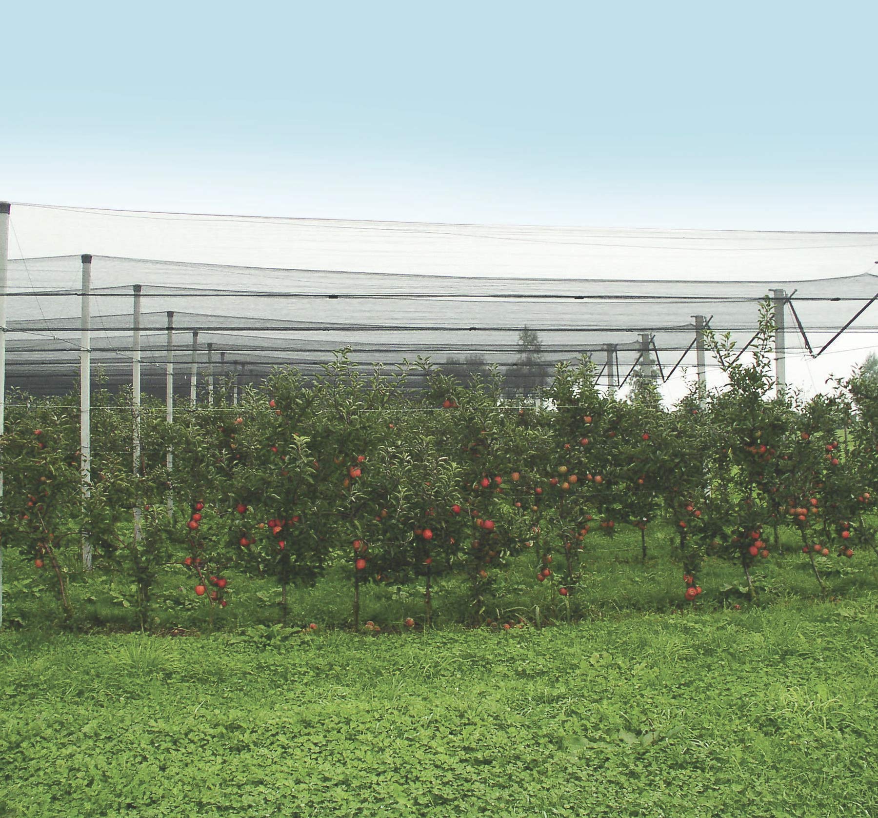 Windhager Red de protección contra Granizo, Red para estanques, Malla de 8 mm, 5 x 4 m, Verde, 06773 (Paquete de 2)