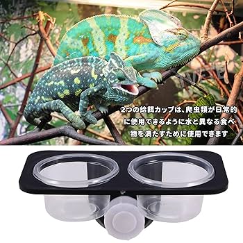 爬虫類　水 エサ入れ　21 エサ入れ 餌入れ 水入れ S 爬虫類 両生類 陶器 逃げ防止 返し