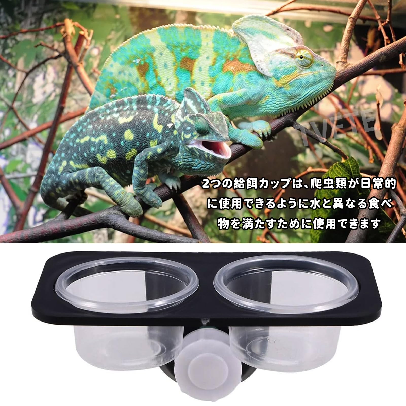 Amazon | TVETE 爬虫類 餌入れ 爬虫類の餌と水の皿 の餌のボウル 【2皿