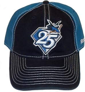 Amazon.com: Sports Fan Baseball Caps 
