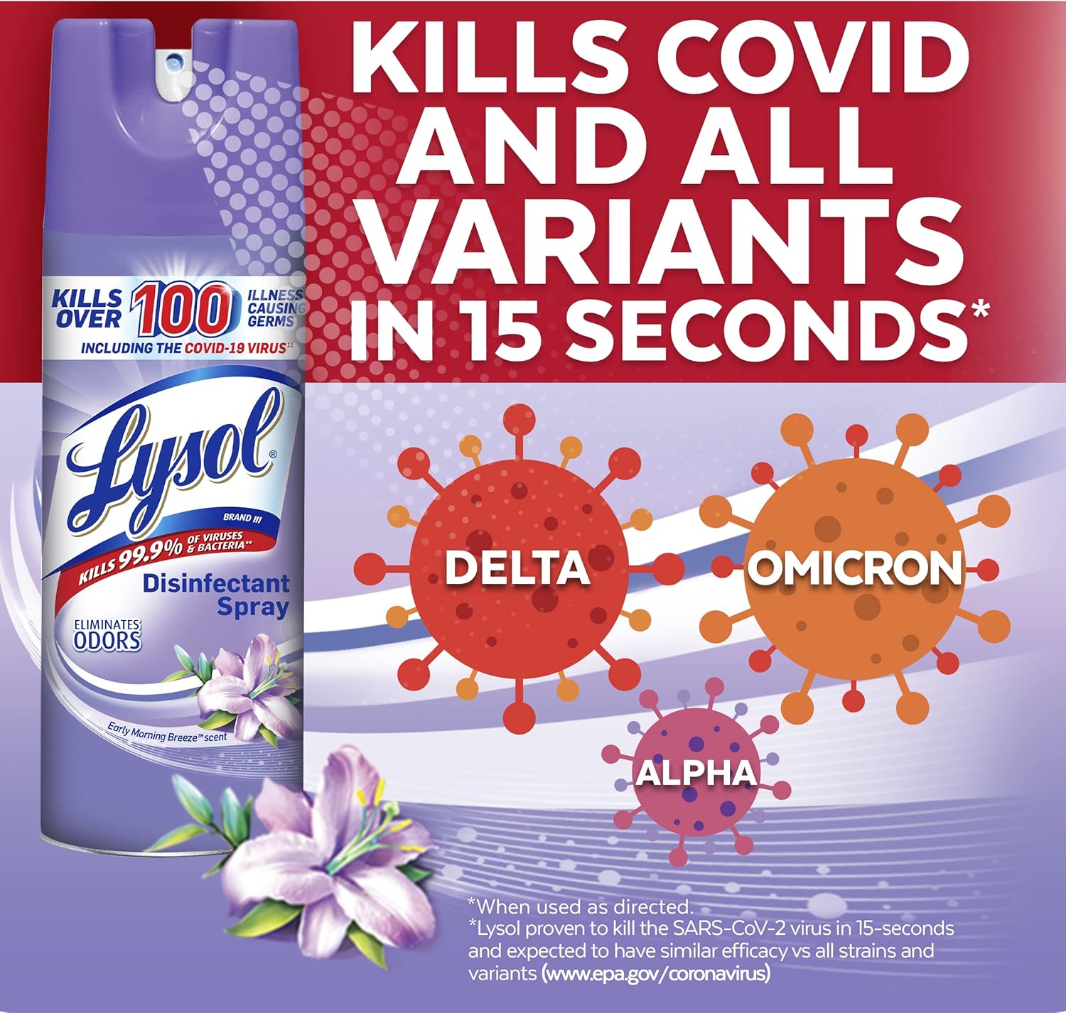 Can You Use Lysol Disinfectant Spray On Pillows at Anna Calder blog