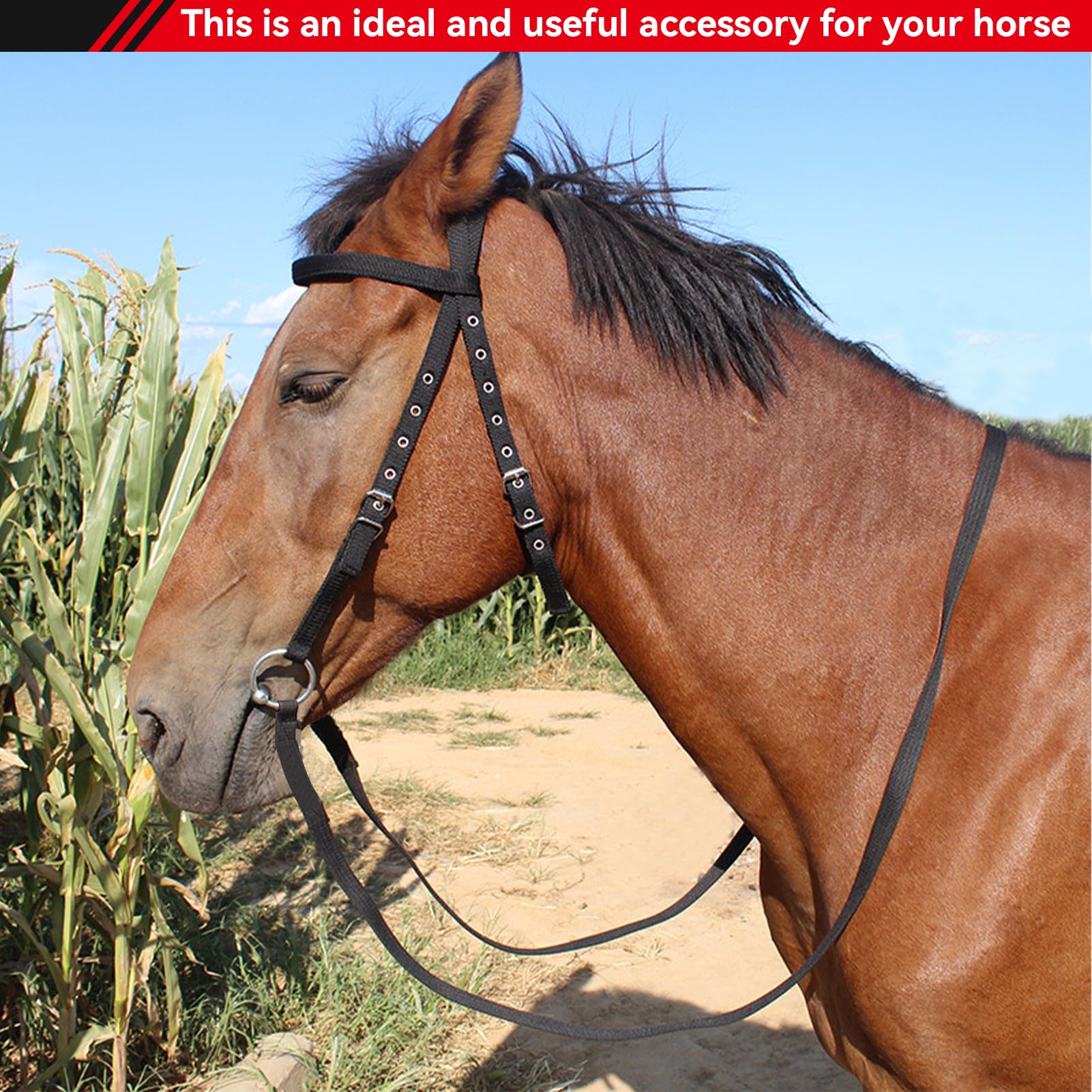 Bridon Lilly, Bridon sans Mors Horses Noir Bridon de Haute qualité Soft sans Mors Bridon Confort avec rênes