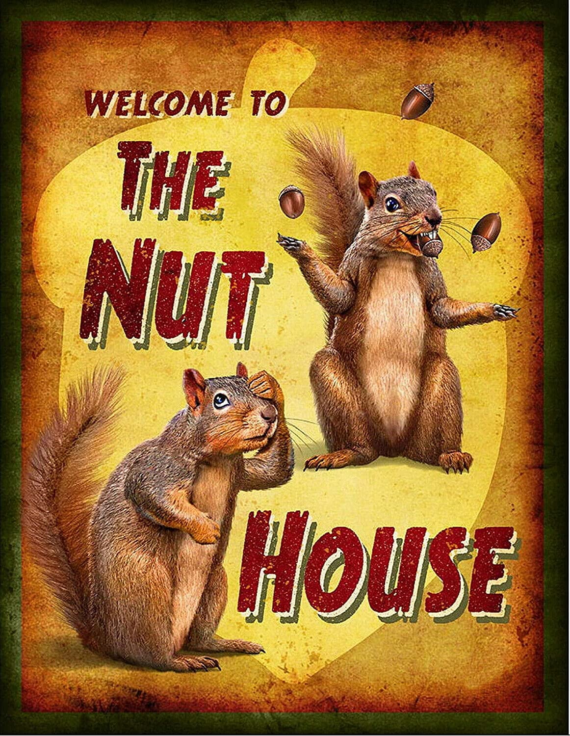 BigBazza Vintage Advertising Wall Tin Plaque 20x15cm - Pub Shed Bar Man Cave Home Bedroom Office Kitchen Gift Metal Sign - Retro Hallway Welcome to the Nut House Mental Squirrel Humour Fun Quote