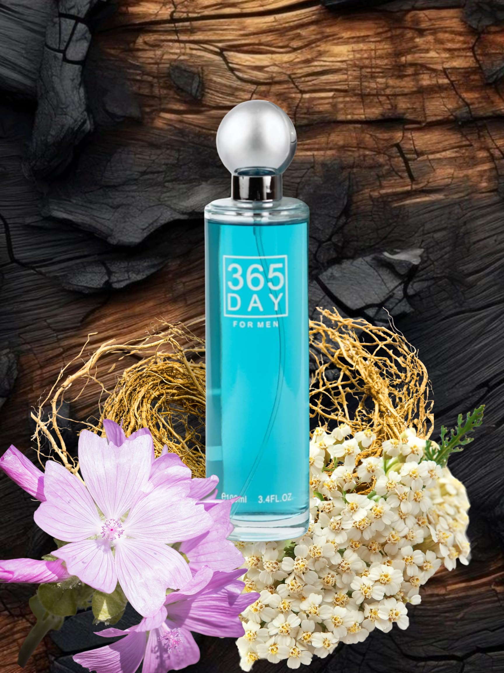 香水(男性用) Dramatic Patterns HOMME II EDT 50ml Amazon.com : 365 DAY FOR MEN EAU DE TOILETTE 3.4 FL. OZ Aromatic