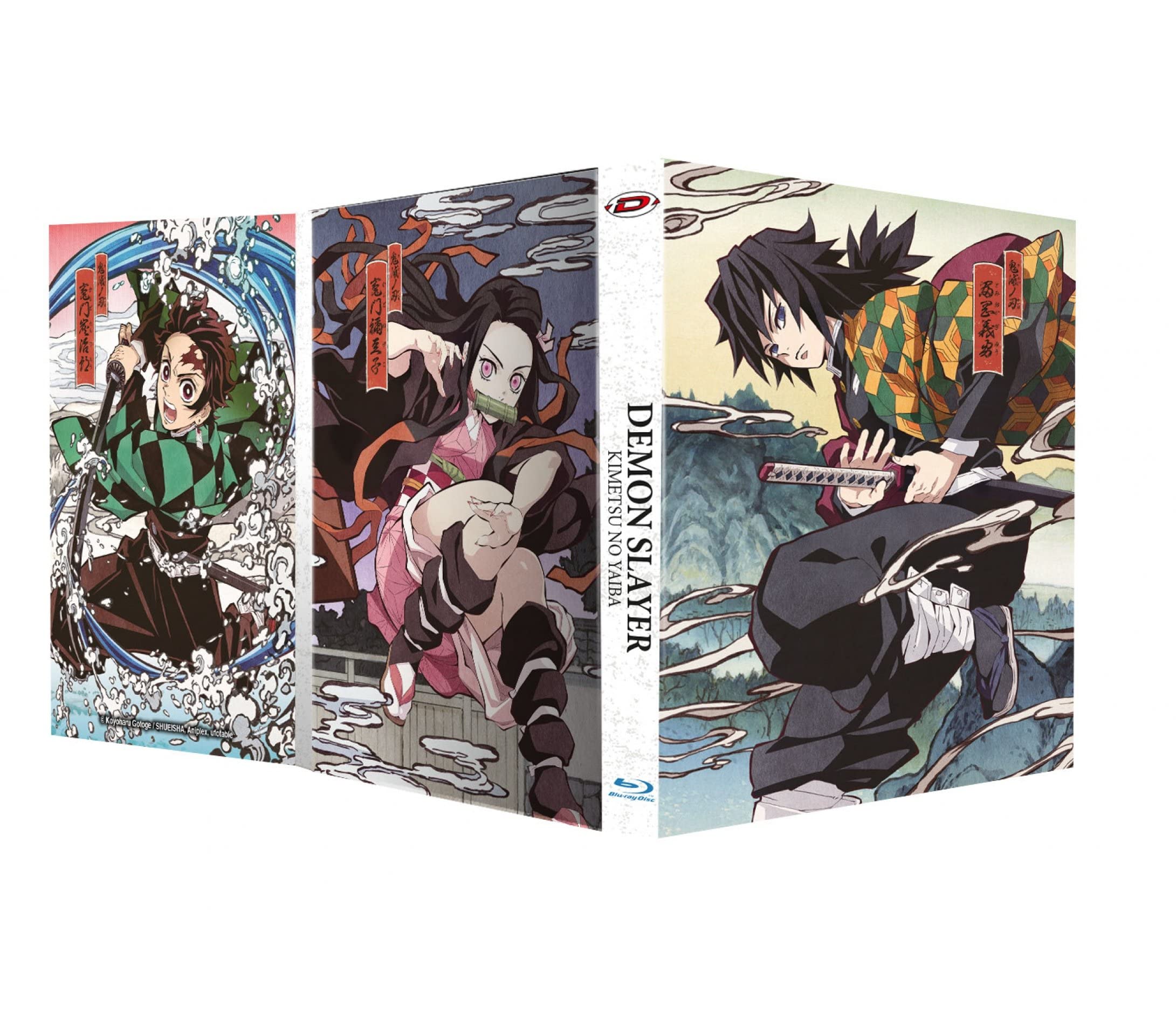 Demon Slayer - Kimetsu No Yaiba - Saison 1 [Édition Collector Blu-ray + DVD]