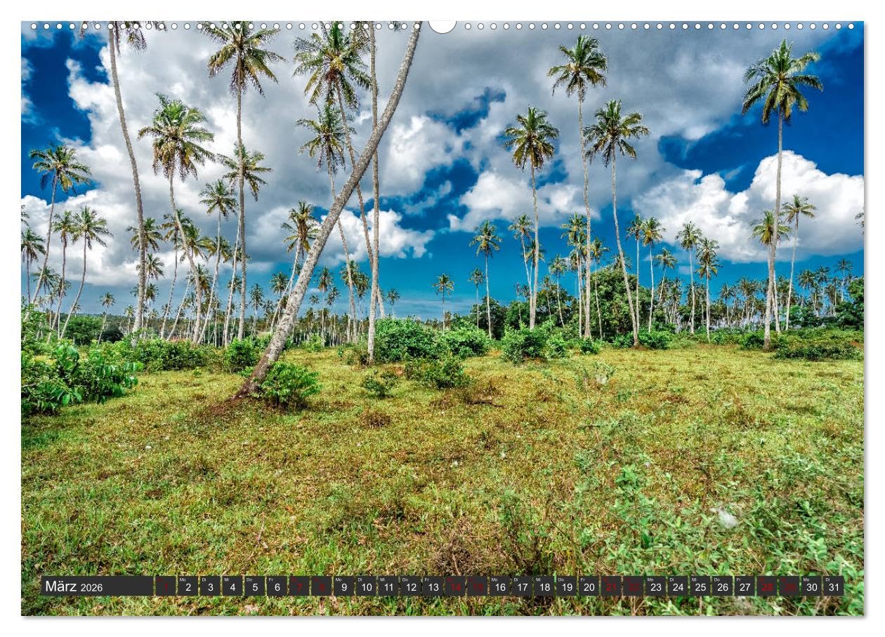 Inselparadies Sansibar (Wandkalender 2026 DIN A2 quer), CALVENDO Monatskalender: Auf fotografischer Entdeckungsreise durch Sansibar (CALVENDO Natur)