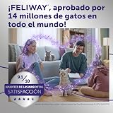Ver la foto 7