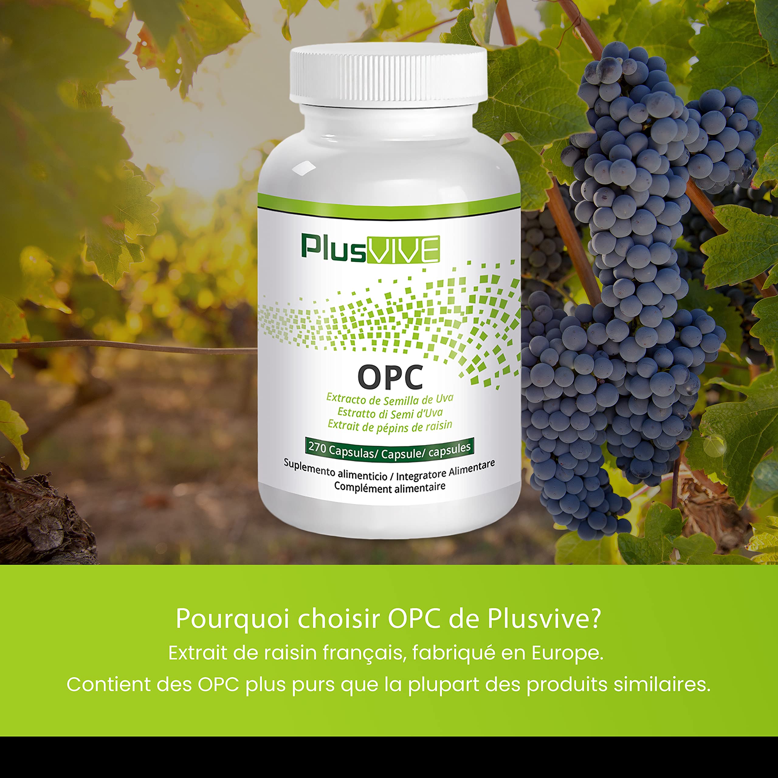 Plusvive - Gélules d'OPC à l'extrait de pépins de raisin de raisin français, (400 mg)
