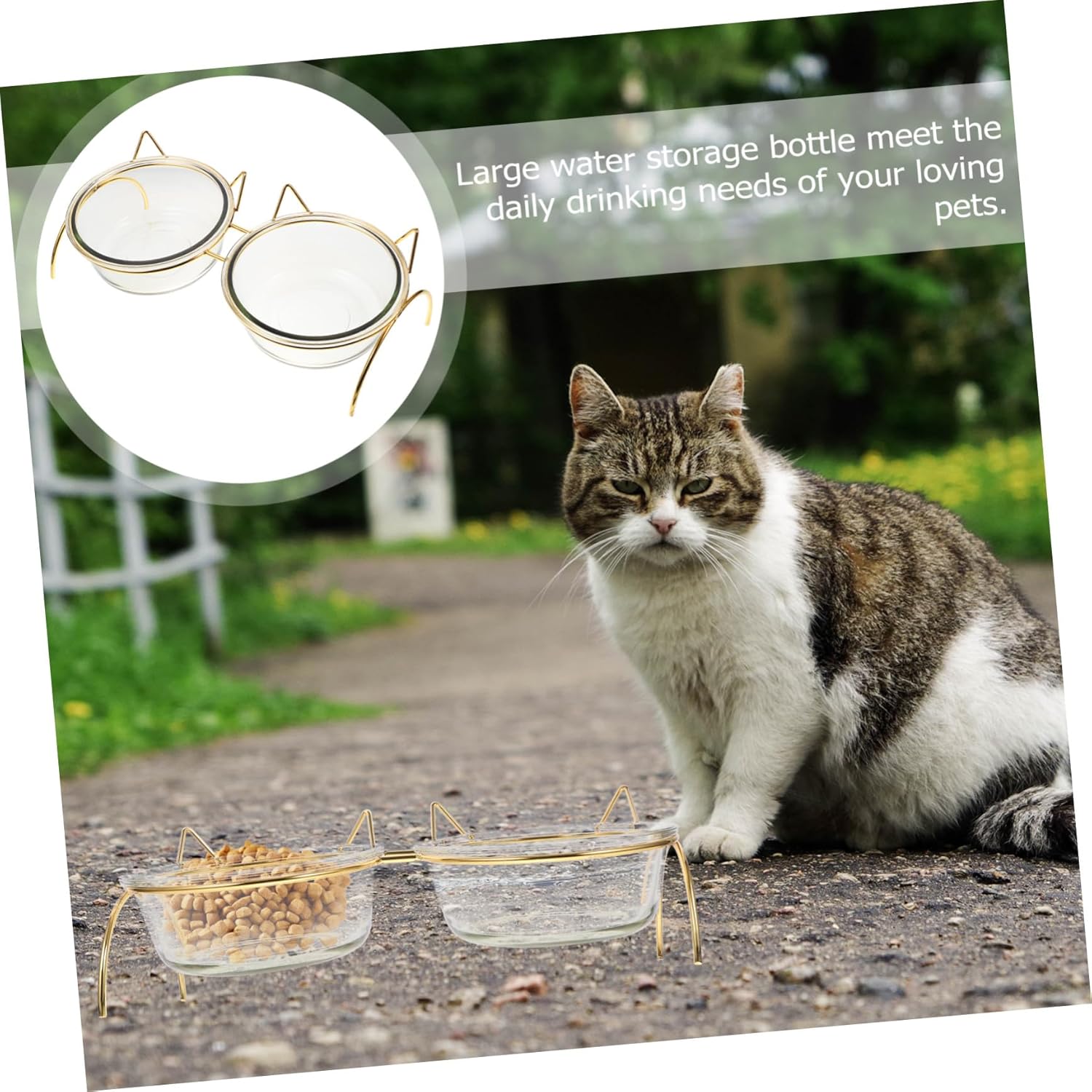 Elevated Cat Food Bowl with Tilted Design Transparent Double Bowls and Iron Stand High Base Feeder for Pets Neck Protective Dish to Reduce Strain and Minimize Food Residue