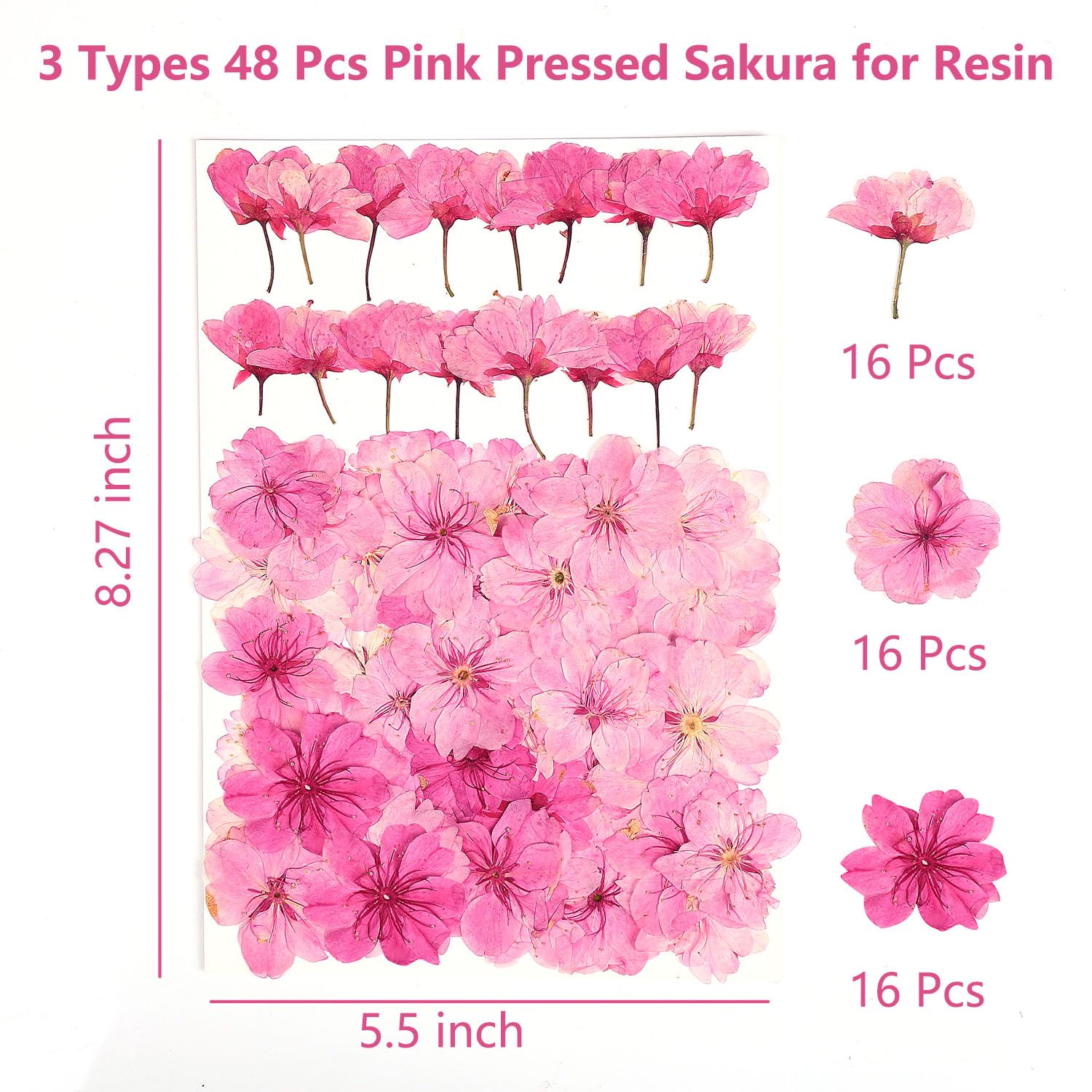 48 Stück gemischte Kirschblüten natürliche getrocknete gepresste Blumen für Kuchendekoration, echte trockene Blumen für Harzschmuckherstellung, DIY Kunsthandwerk – Rosa Sakura