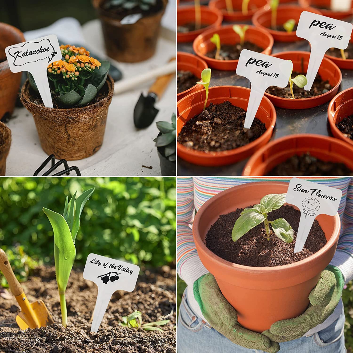 Lot De 500 étiquettes Pour Plantes, étiquettes De Jardin, Résistantes