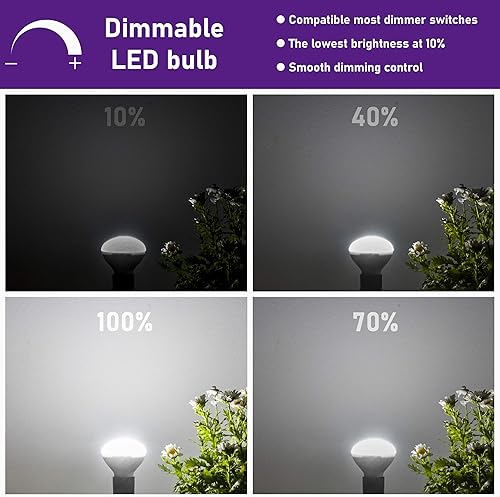 Miniatura 8 de Bombilla LED E17 R14 regulable de 4 W (equivalente a 40 W), bombilla pequeña, base intermedia E17, 300 lúmenes, bombilla de gabinete Curio, blanco