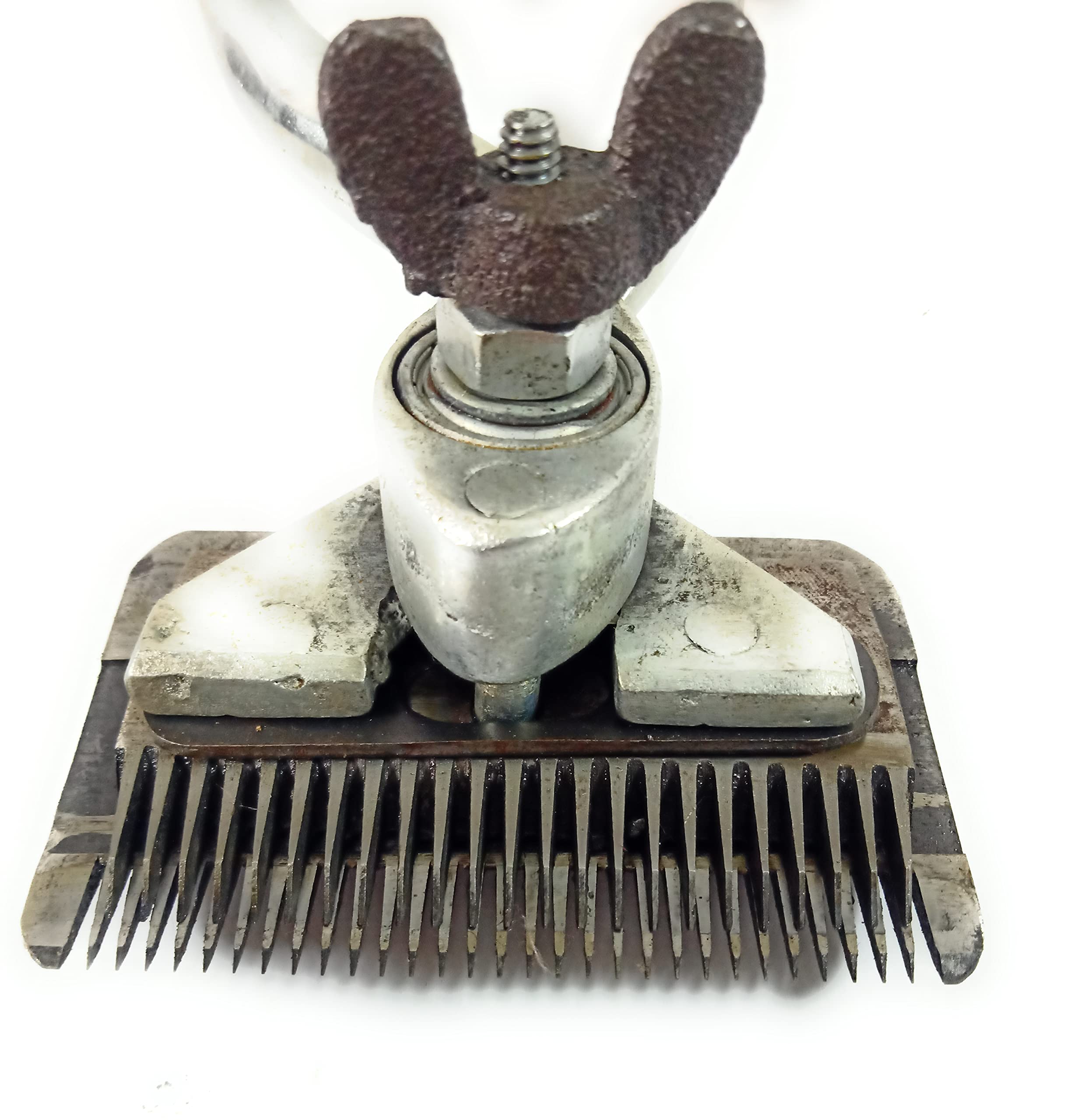 Details more than 165 animal hair cutting machine best dedaotaonec