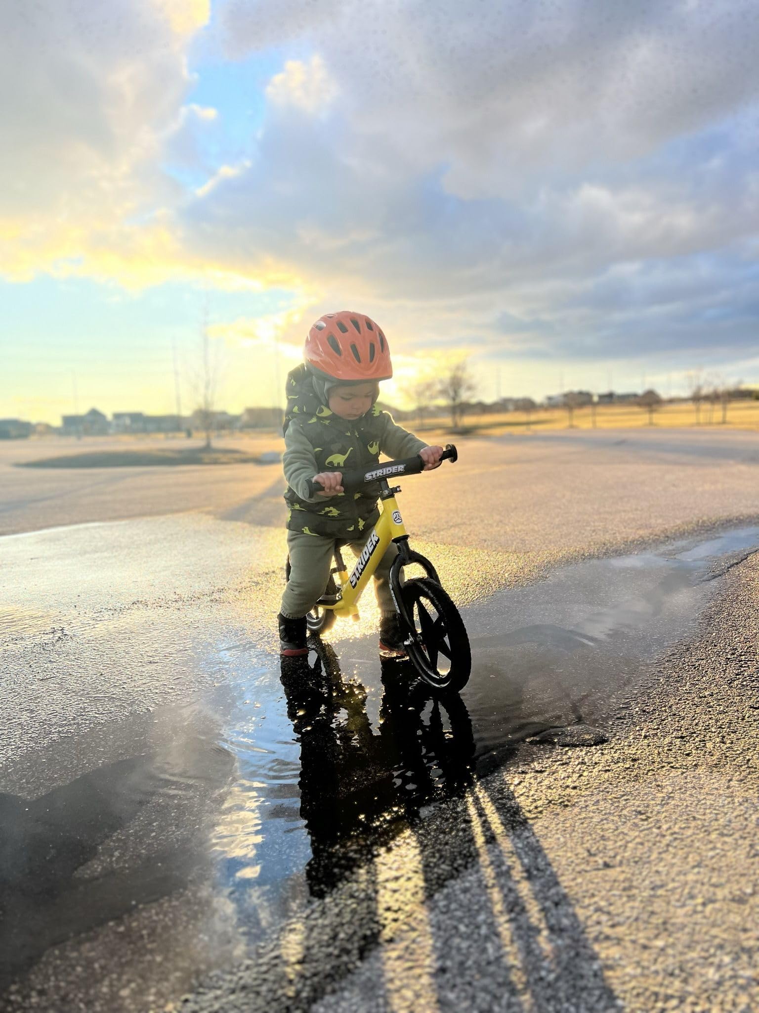 ストライダー　12スポーツ　イエロー　正規品 ストライダー 12スポーツ イエロー 正規品 Amazon.co.jp