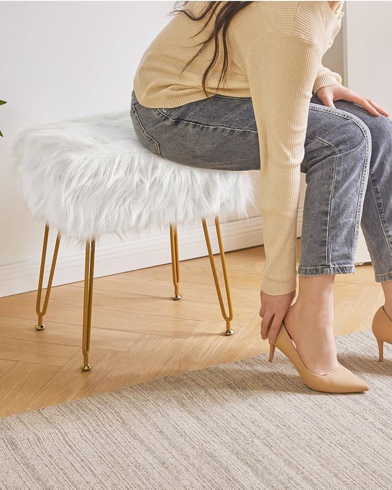 Émilien Fenouil 2016set Windshield Fenouil nineT Scrambler-Pure