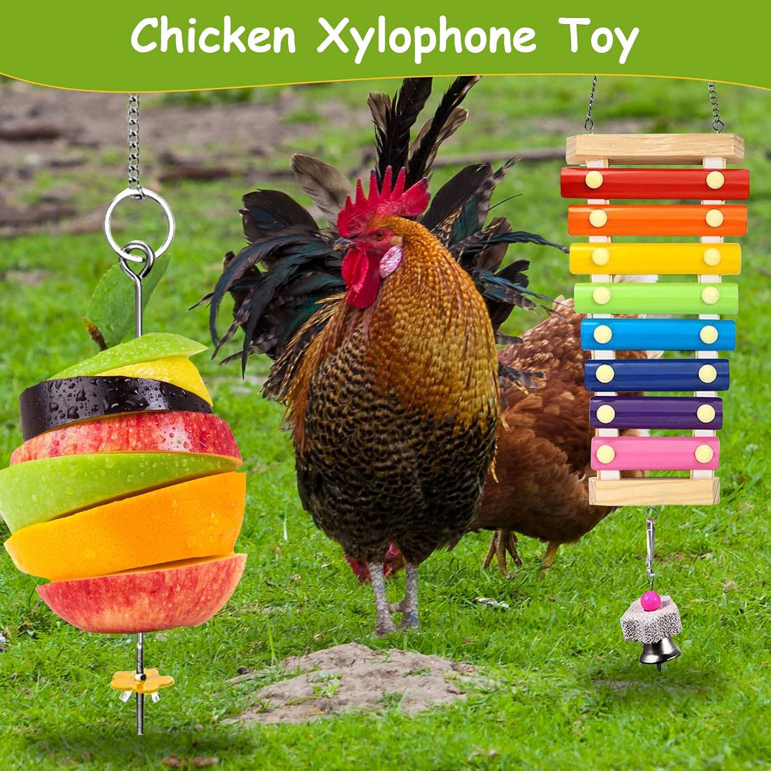 BNOSDM 5 Packs Chicken Xylophone Toy for Hens Chicken Mirror Toy with Bell Chicken Coop Toys and Accessories Veggies Skewer Fruit Holder Vegetable Hanging Feeder for Chicks Hens Roosters