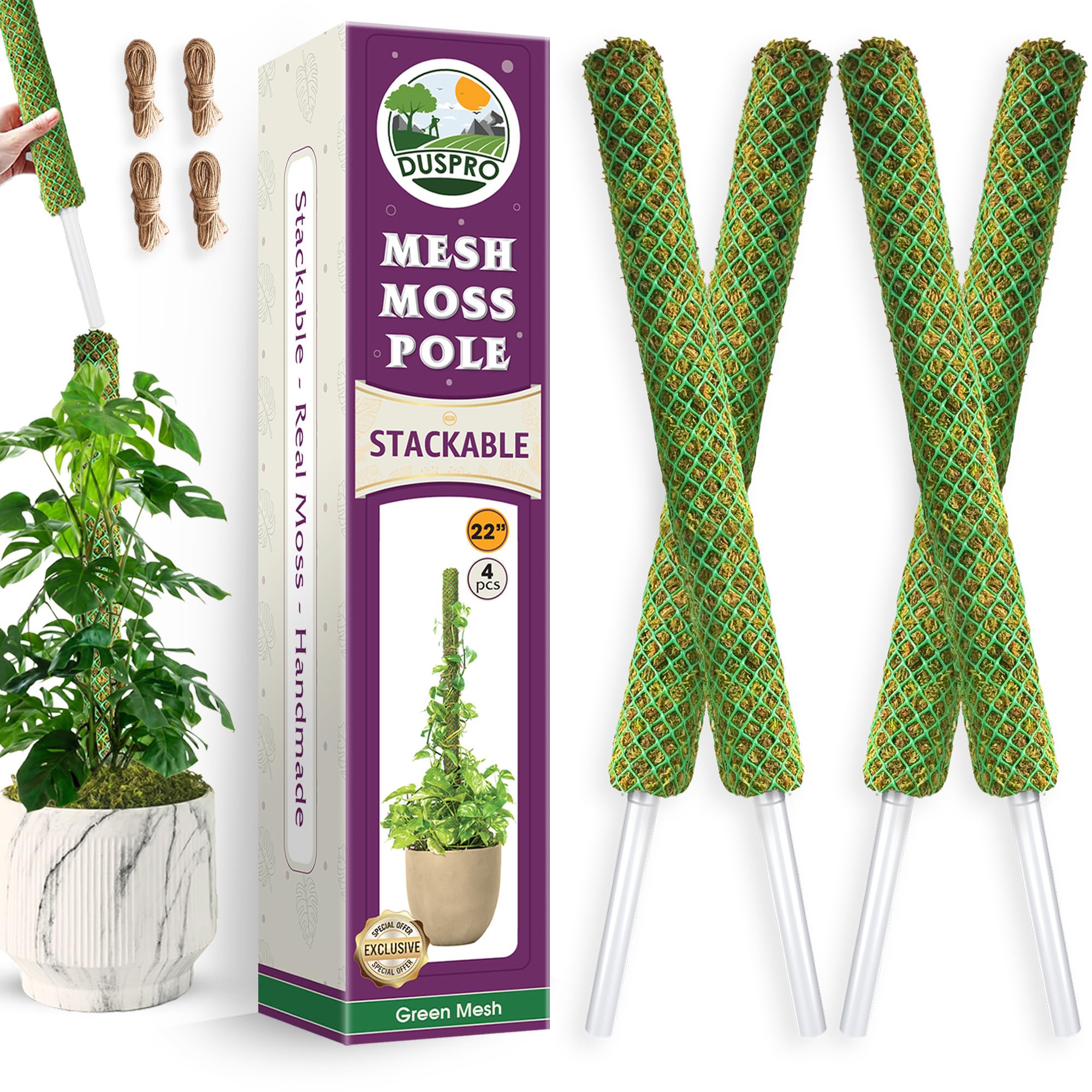Amazon.com : DUSPRO 4 Pack 22" Green Stackable Mesh Moss Pole for Plants   Extendable Up to 71", Natural Forest Moss Pole Monstera Plant Support, Moss  Stick for Climbing Plants, Indoor Plant