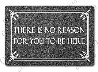 Funny Welcome Mats for Entrance Indoor Personalized Kitchen Rugs and Mats Anti-Slip Novelty Gift Mat(23.7 X 15.9 in) (There is No Reason for You to Be Here)