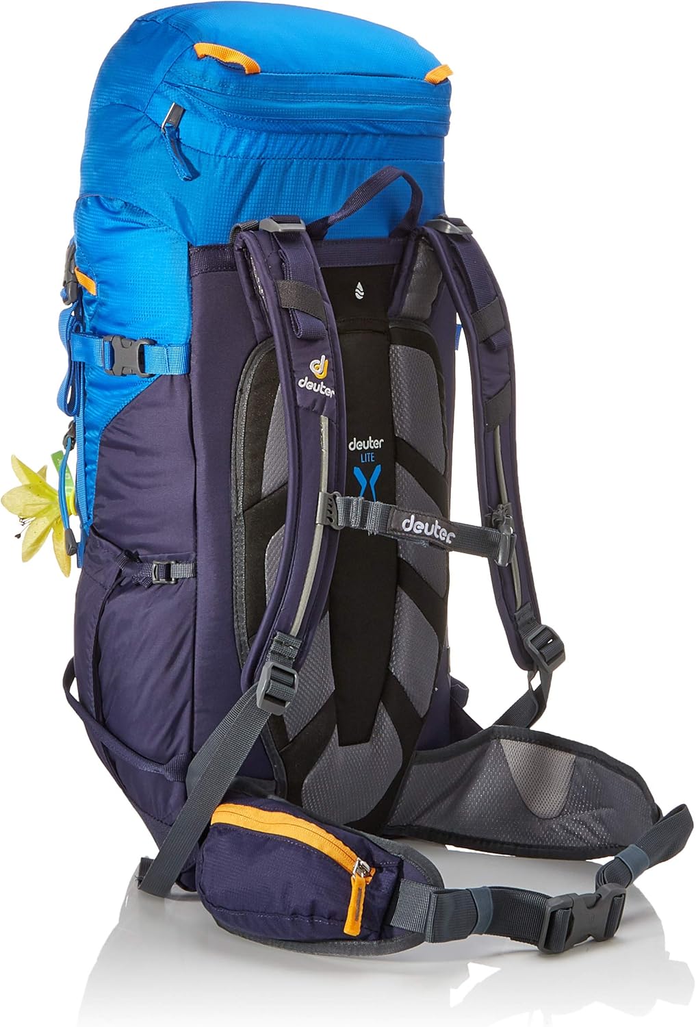 Deuter Unisex's Backpack Daypack, Blue (Cool Blue/Blueberry), 24x36x45 Centimeters (W x H x L)