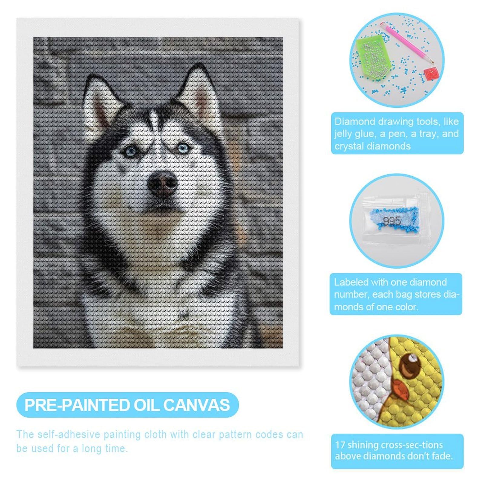 Znwrr DIY 5D Diamond Painting Kit Forage Complet Border Collie Chien Animal Diamant Peinture De Croix Peinture Strass Broderie Craft Pour Home Décoration Mural 30x40cm